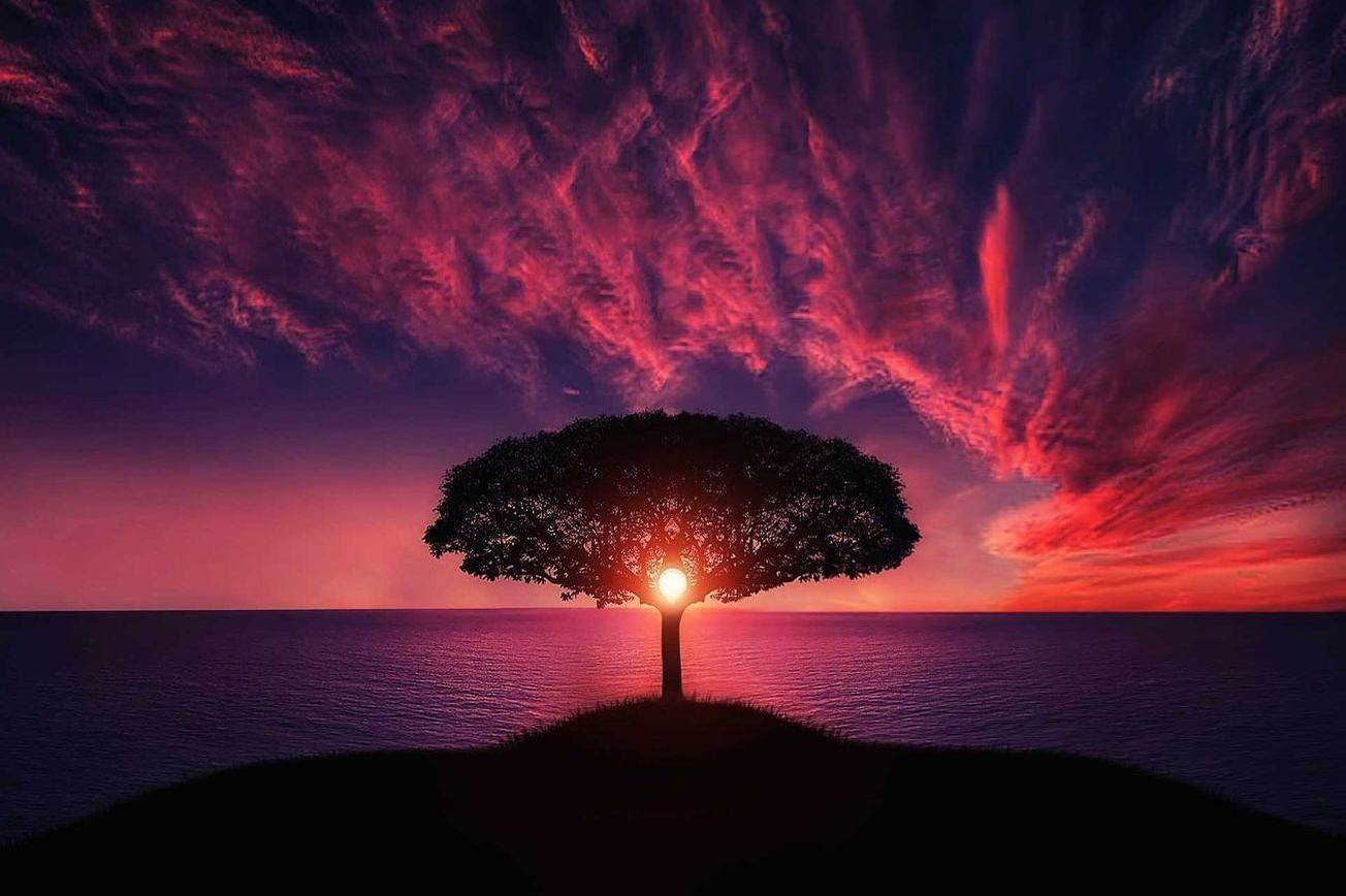 Cielo 4