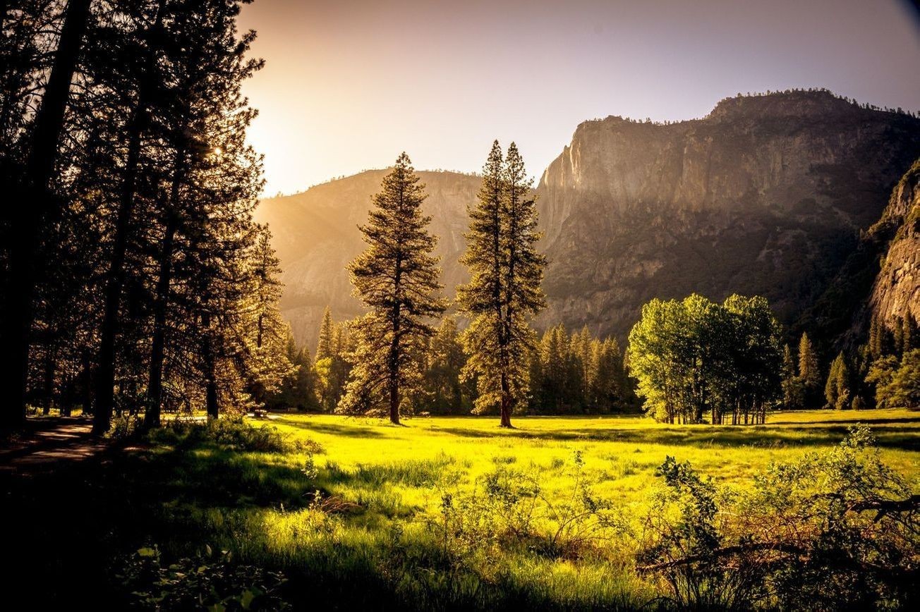 Paisaje bosque 2
