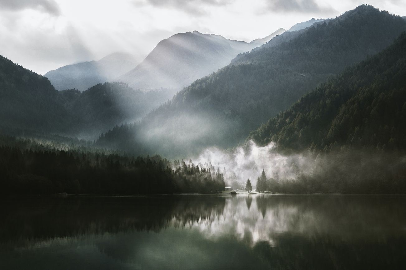Paisaje bosque 10