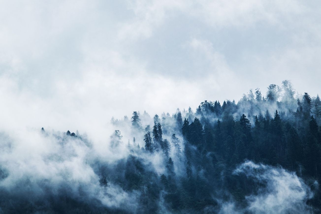 Paisaje montaña 19