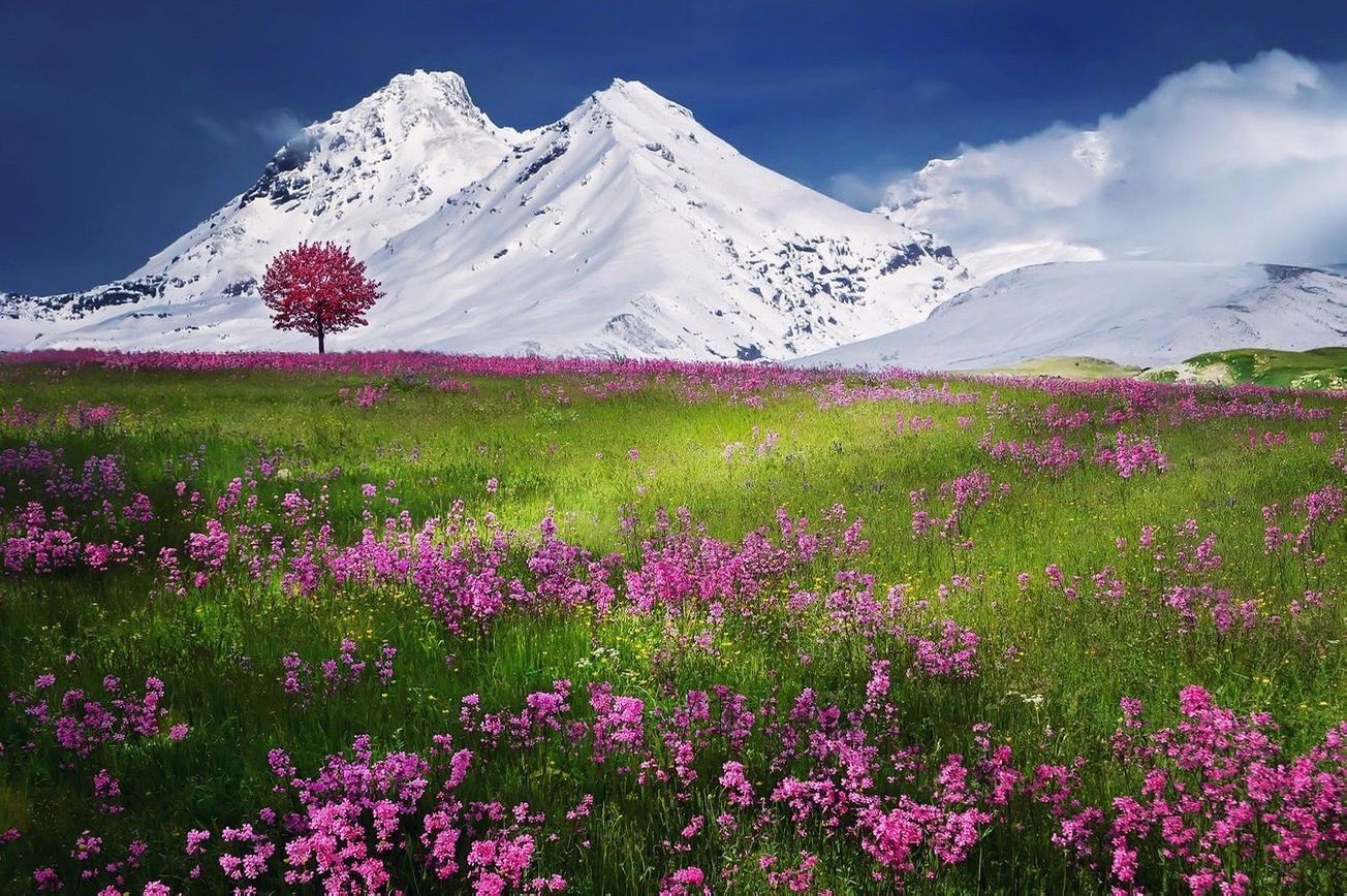 Paisaje montaña 30